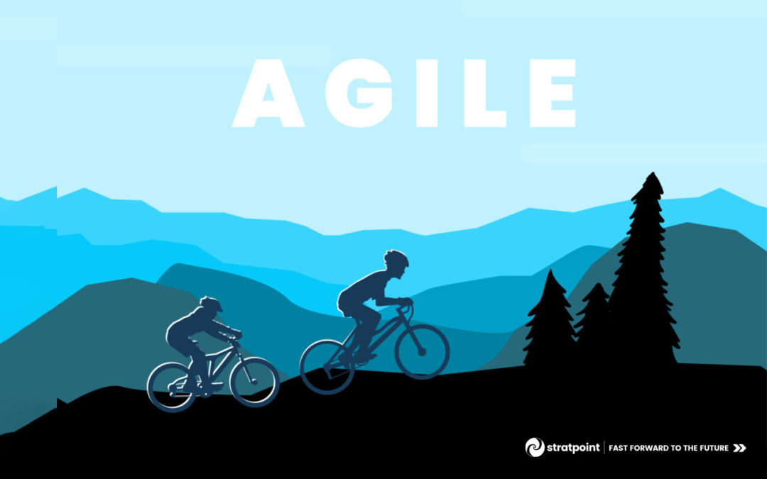 Going Agile is like mountain biking